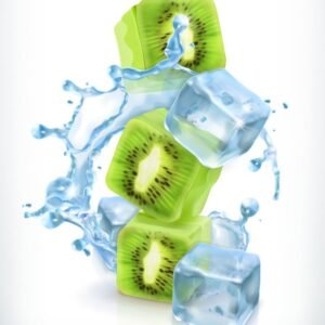 buy kiwi mint nicotine eliquid in india at vape store india