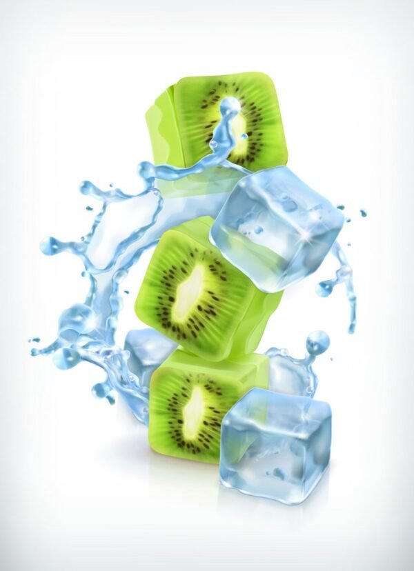 buy kiwi mint nicotine eliquid in india at vape store india