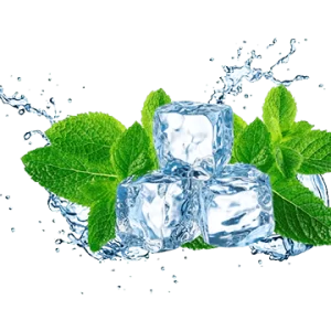 buy menthol nicotinne eliquid in india at vape store in india